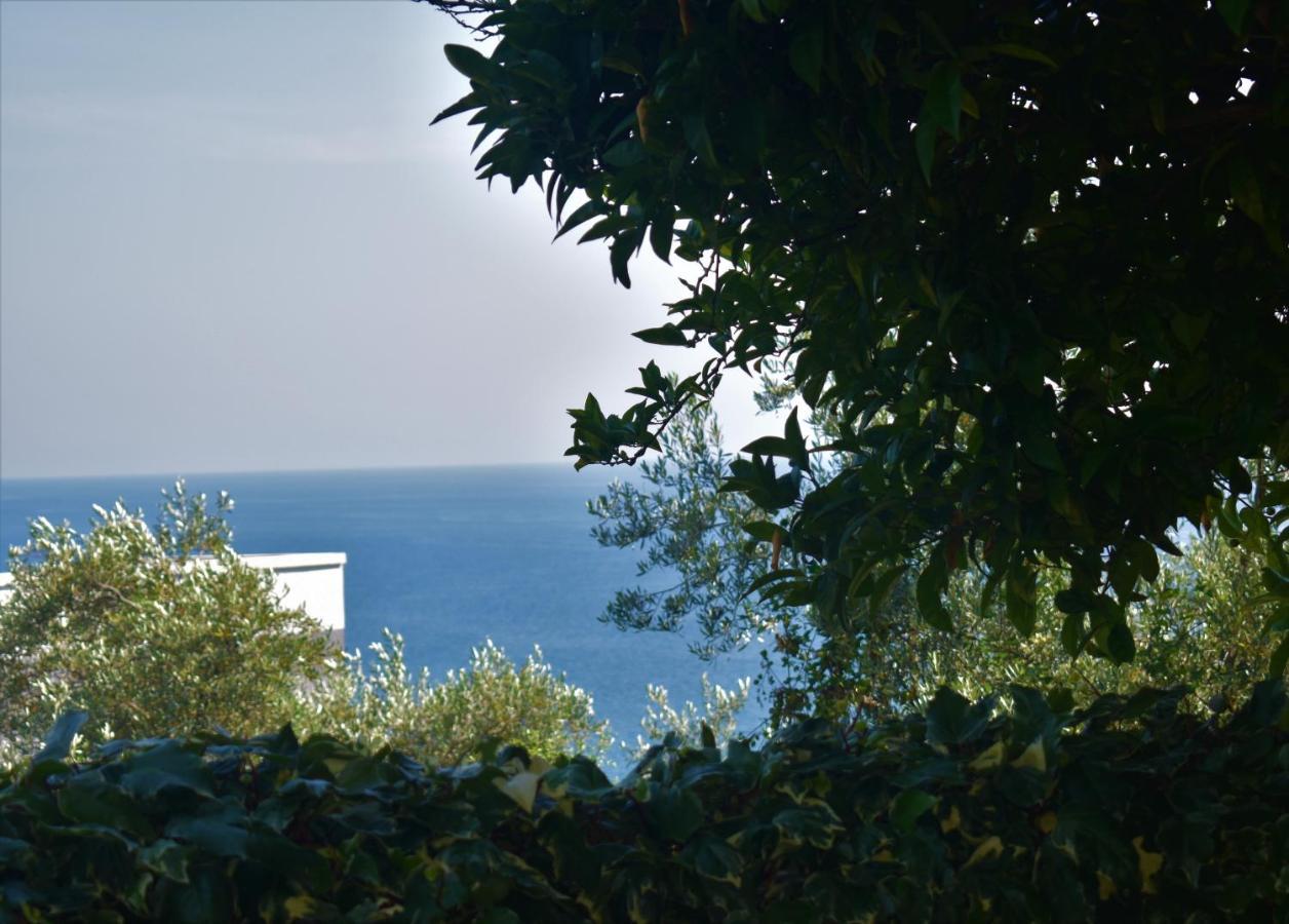 Guesthouse Hhl - Liman Ll Ulcinj Exterior foto